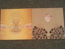 Devendra Banhart What Will We Be Smokey Rolls Down Thunder Canyon Lp Vinyl 12