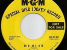 Rock-The Seeds on MGM 14190-DJ Copy-Did He Die/Love in a Summer Basket-LISTEN