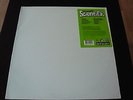 SCIENTIFIK...CRIMINAL...CLASSIC 90'S HIP HOP LP...DIAMOND D BUCKWILD RZA