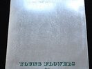 YOUNG FLOWERS No. 2 RARE Original 1969 Sonet LP Classic DANISH Psych Blues