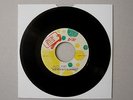 THE NEW ESTABLISHMENT - ROCK FORT ROCK - IRON SIDE - SKA - REGGAE - LISTEN