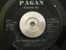 Soul/Funk 45 Derek David The Morning After/Winter Of Our Love on PAGAN EX ORIG