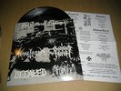 = BLACK METAL ENDS - Part II - Nargaroth / Decayed / Godless North / Apolokia