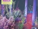 Husker Du Warehouse Songs Record Store Day RSD Yellow/Green vinyl NEW SEALED