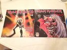 Iron Maiden Limited Edition First Ten Years Vinyl Records Mint Condition