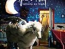 Fall Out Boy Infinity on High Vinyl /2000 Hot Topic Blue and White Splatter