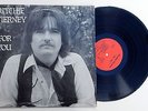 RITCHIE TIERNEY: For You LP private SSW loner folk rock hear