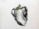 Ween White Pepper Vinyl LP New