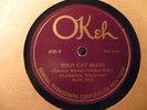 RARE Clarence WIlliams Blue Five - Kansas City Man / Wild Cat Blues Okeh 4925 78