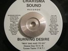 Rare Soul/Funk 45 Burning Desire Why She Had To Go CHARISMA SOUND NM Original