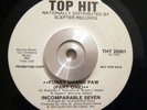 Miami Soul/Funk 45 Incomparable Seven - Funky Grand Paw Part 1 & 2 TOP HIT Ex