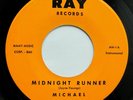 INSTRUMENTAL ROCK / SURF 45 Michael & the Majestics 
