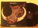 LP - ROCK/ PROG / PSYCH  /FOLK- NAVASOTA - ROOTIN -- RARE ORIGINAL