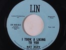RAY RUFF: I Took A Liking To You / Angel Blue 45 (sharp) rare Rockabilly