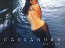 CASSANDRA WILSON**NEW MOON DAUGHTER(LTD/REMASTERED/180G/GATEFOLD)**2 VINYL SET