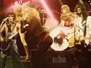 New York Dolls Too Much Too Soon Vinyl LP Record Pink Vinyl NEW