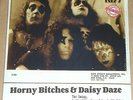 KISS - Horny Bitches and Daisy Daze, Long Island, USA 1973, 2 LP Col. Vinyl, NEW