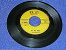 The Channels 1959 Fury 45rpm Bye Bye Baby b/w My Love Will Never Die Doo Wop