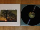 THE MOUNTAIN GOATS Sunset Tree LP ORIGINAL 4AD PRESS-OOP neutral milk hotel