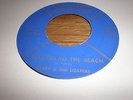 45 LARRY & THE LOAFERS - LET'S GO TO THE BEACH (SHURFINE 017) RARE 1965 GARAGE