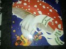 Lp Der Jesuspilz Witthüser und Westrupp pilz 1971 rare Kraut  guter Zustand