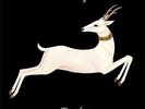 Heartleap - Vashti Bunyan (2014, Vinyl New)