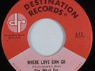 Garage Mod Soul 45 THE WHAT FOR Where Love Can Go DESTINATION HEAR NM
