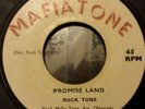 Rock Tone Promise Land Killer Roots 7