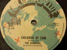 The Survivors Third World Rebellion Rare Killer Roots 12