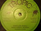 Floyd Lloyd Babylon Shall Fall Killer Roots 12