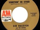 STRANGE '60s GARAGE 45 by SIR RALEIGH & CUPONS - Pre BUFFALO SPRINGFIELD - HEAR