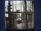LP: PAUL MCCARTNEY CHAOS & CREATION.. TOP neuwertig VINYL SCHALLPLATTE BEATLES