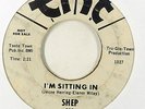 Northern Soul 45   Shep   I'm Sitting In / Fool To Fool   TNT   mp3 WLP