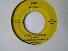 GEORGIA PROPHETS   BILLY SCOTT    I GOT THE FEVER
