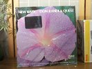 DON RANDI & QUEST LP 