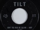 Rocker/Doo Wop  45 TREND-ELS Don't You Hear Me Calling-Baby TILT HEAR