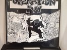 Operation Ivy: Energy 12