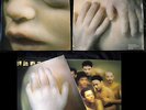Rammstein Mutter LP With Booklet RAR