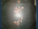 (A) DEPECHE MODE ,  ZIMBABWE  PRESSING , VIOLATOR , NM / NM