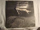 BILL EVANS - JIM HALL - UNDERCURRENT -  ALAN DOUGLAS ORIGINAL ISSUE  - ST -NM