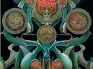 Vader - The Ultimate Incantation [LP] (limited to 500) 2014