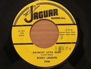 BUDDY LANDON JAGUAR ROCKABILLY  ROCKIN' CLEAN 45 RECORD #3026  $150