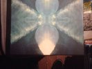 Bonobo Northern Borders Limited Edition Vinyl Boxset