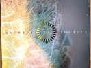 Animals as Leaders  Animals as Leaders S/T Glow in the Dark /106 Vinyl LP SEALED