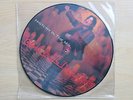 MICHAEL JACKSON Blood On The Dancefloor [History In The Mix] LP picture disc