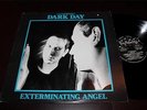 R.L. CRUTCHFIELD DARK DAY Exterminating Angel LP Original Lust/Unlust Insert