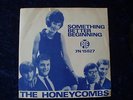 The Honeycombs: Something Better Beginning....  NORWAY
