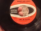 Rare Northern Soul Candy And The Kisses Sweet And Lovely/ Out In The Streets 45
