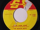 BLEACH BOYS: Wine, Wine, Wine / Must Be Love 45 (tear/tape ol) rare Rock & Pop