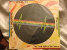 PINK FLOYD - Dark Side of the Moon - US Picture Disc LP SEALED/NEW ENDLESS RIVER